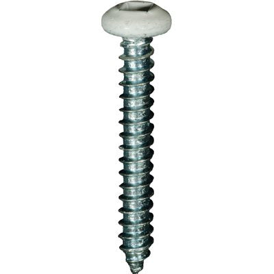Auveco 25363 6 x 1" White Painted Square Drive Pan Head Tapping Screw. Qty 100.