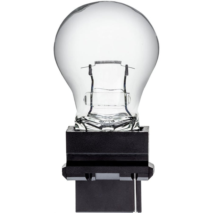 Auveco No B3156 AuvecoPak Indicator Bulb 3156 10 Per Box, Quantity 10