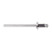 Auveco No 17469 Specialty Rivet 1/8 Diameter 1/32-1/8 Grip Stainless, Quantity 100