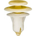 Auveco No 20190 Ford Trim Panel Retainer Caramel/Natural Nylon, Quantity 25