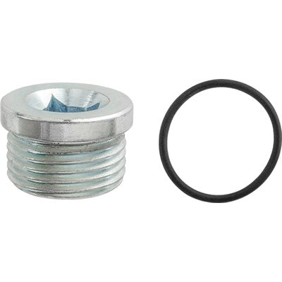 Auveco Item 24221 M22-175Drain Plug W/Gasket Quantity 2