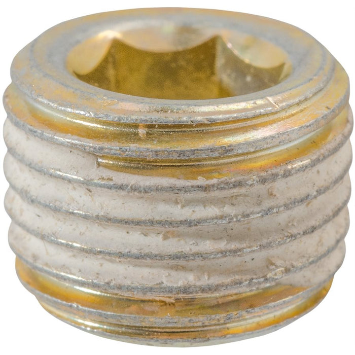Auveco Item 24273 1/4-19  British Pipe Plug Quantity 10