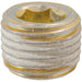 Auveco Item 24273 1/4-19  British Pipe Plug Quantity 10