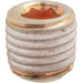 Auveco Item 24278 8mm 100 Metric Pipe Plug Quantity 25
