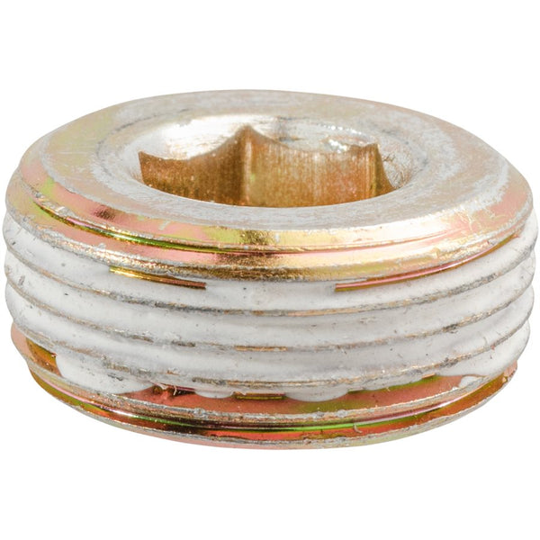 Auveco Item 24285 M22X1.50 Pipe Plug. Quantity 10