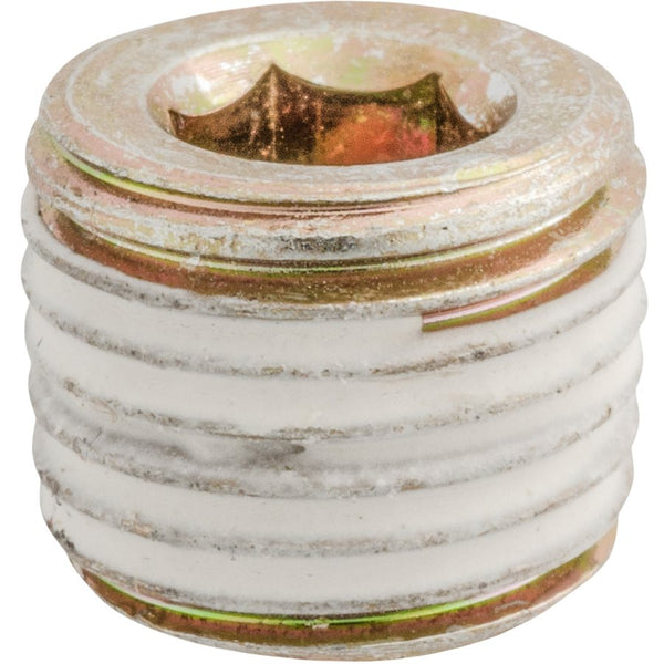Auveco Item 24288 1/4 Japanese Pipe Plug. Quantity 10