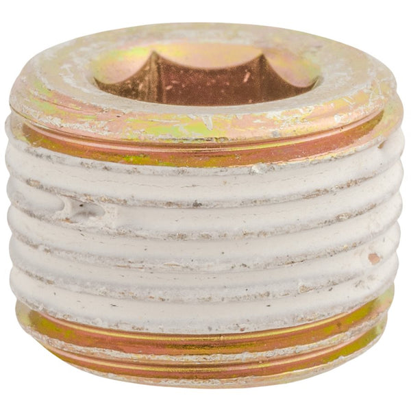 Auveco Item 24289 3/8 Japanese Pipe Plug. Quantity 10