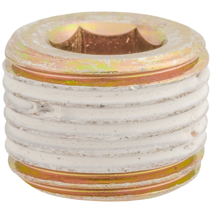 Auveco Item 24289 3/8 Japanese Pipe Plug Quantity 10