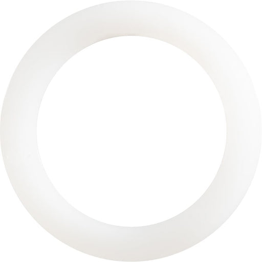 Auveco Item 24310 Nylon Gasket  M185 X M25 Quantity 25