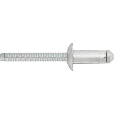 Auveco Item 25109 Blind Rivet 1/4" 6.3mm Steel Mandrel & Rivet. Qty 10.