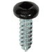 Auveco 25355 6 x 1/2" Black Painted Square Drive Pan Head Tapping Screw. Qty 100.