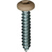 Auveco 25359 6 x 3/4" Tan Painted Square Drive Pan Head Tapping Screw. Qty 100.
