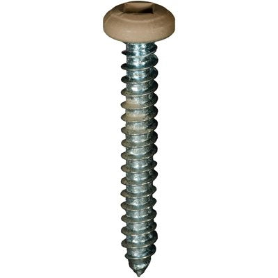 Auveco 25371 8 x 1" Tan Painted Square Drive Pan Head Tapping Screw. Qty 100.