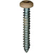 Auveco 25371 8 x 1" Tan Painted Square Drive Pan Head Tapping Screw. Qty 100.