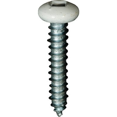 Auveco 25387 10 x 1" White Painted Square Drive Pan Head Tapping Screw. Qty 100.