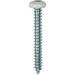 Auveco 25393 10 x 1-1/2" White Painted Square Drive Pan Head Tapping Screw. Qty 100.