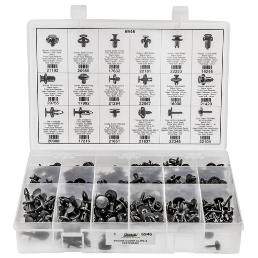 Auveco Item 6946 Engine Cover Clips & Fasteners  Assortment Quantity 1